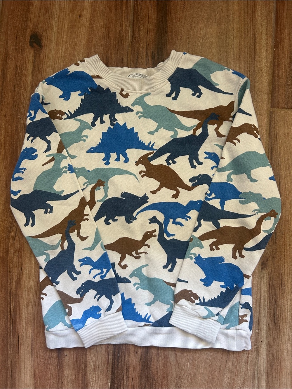 H&M Kids Sweatshirt Bundle Size 6/7 Dinosaur Print + Blue Crewneck - Picture 2 of 8